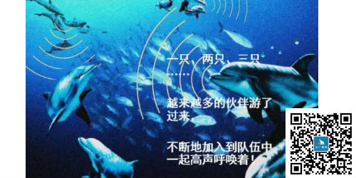 從群體到團隊的三個階段