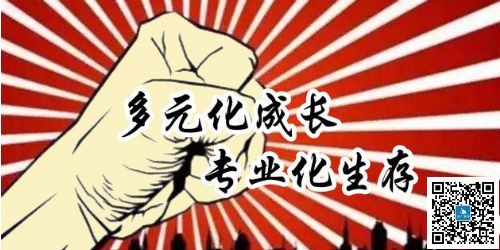 簡說多元化戰略與專業化經營