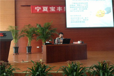 譚小芳寧夏寶豐集團管理層團隊建設培訓