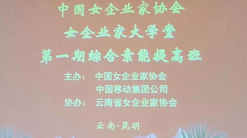 譚小芳中國女企業家協會（昆明）《卓越女性領導力培訓》